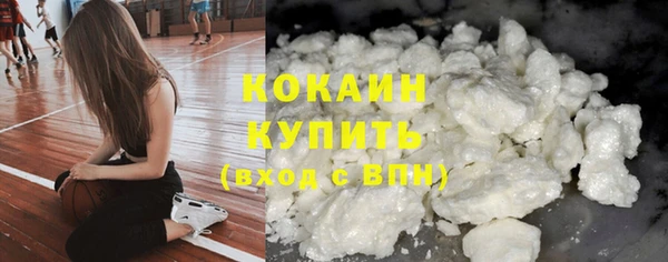 ГАЛЛЮЦИНОГЕННЫЕ ГРИБЫ Осинники