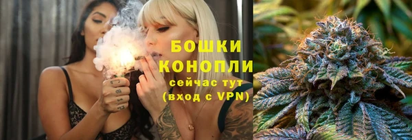 ГАЛЛЮЦИНОГЕННЫЕ ГРИБЫ Осинники