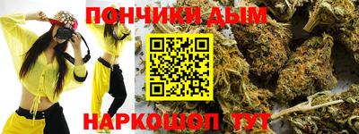 ALPHA PVP Гатчина