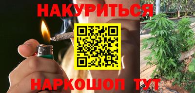 ALPHA PVP Гатчина