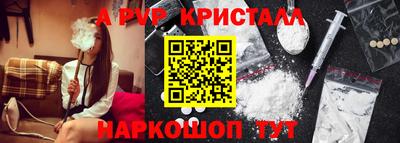 спиды Гагарин